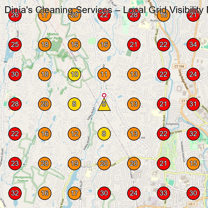 Dinia's Cleaning Services GeoGrid visibility map for House Cleaning Service in None